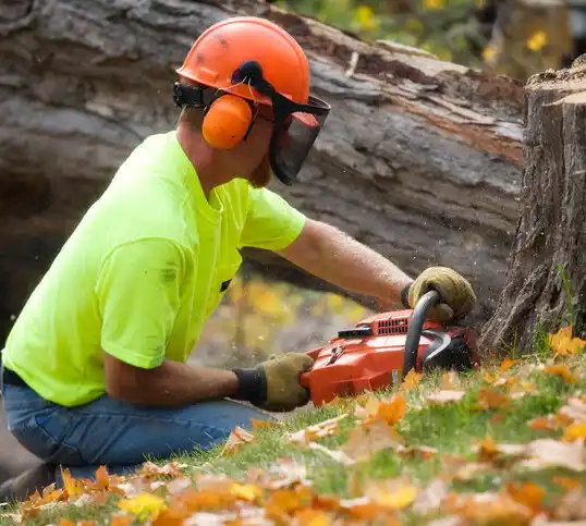 tree services Surf City